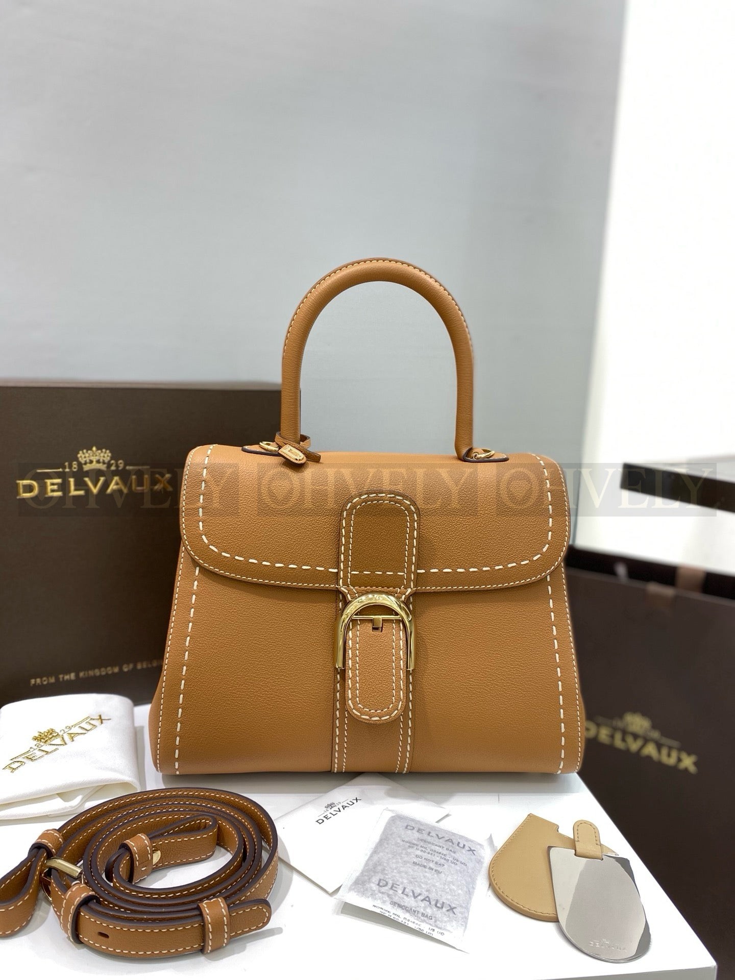 델보 브리앙 MM 로데오 스티치