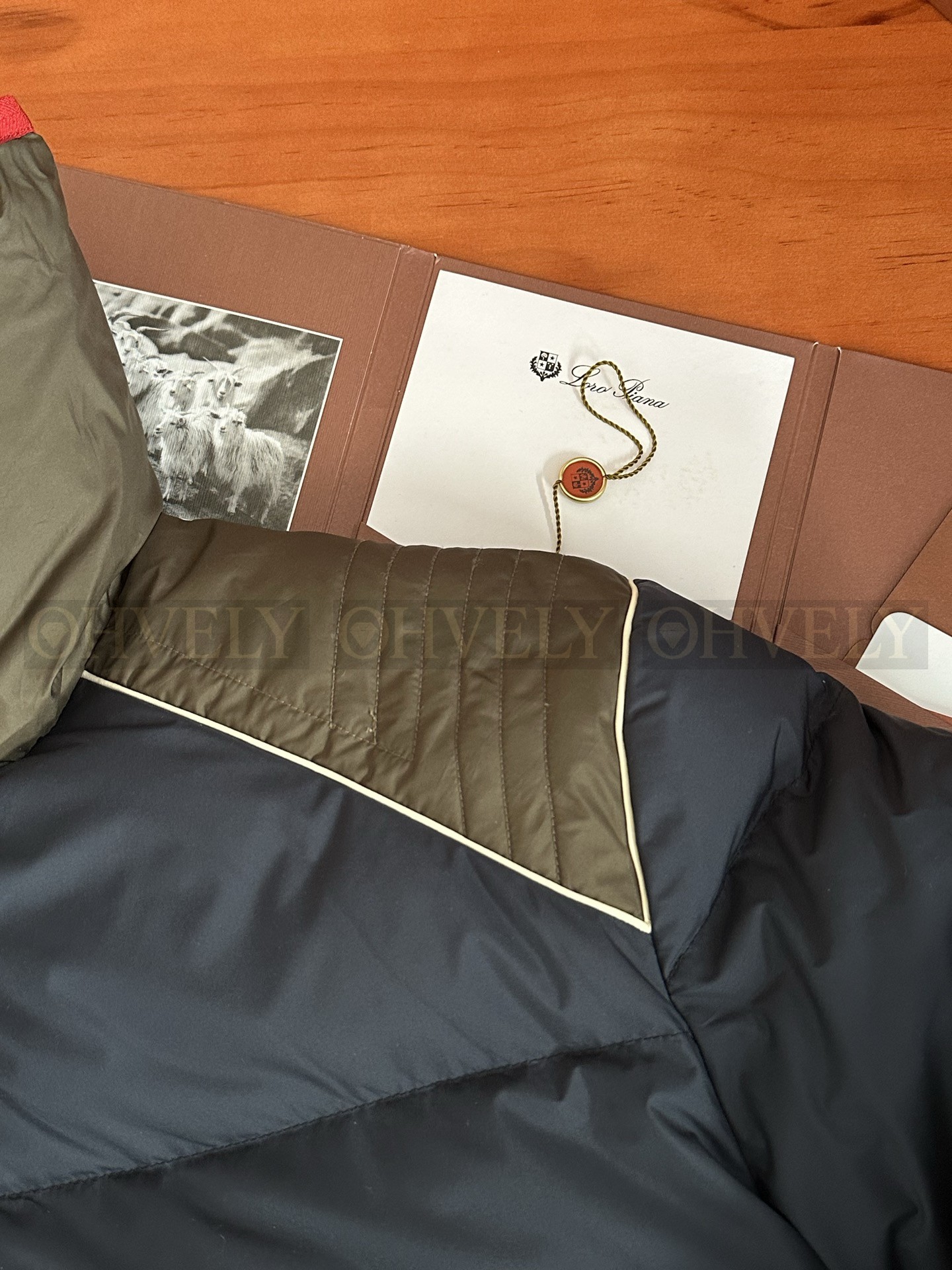 【 ZP 】LoroPiana 패딩 (매장가 676만원) 상품 썸네일