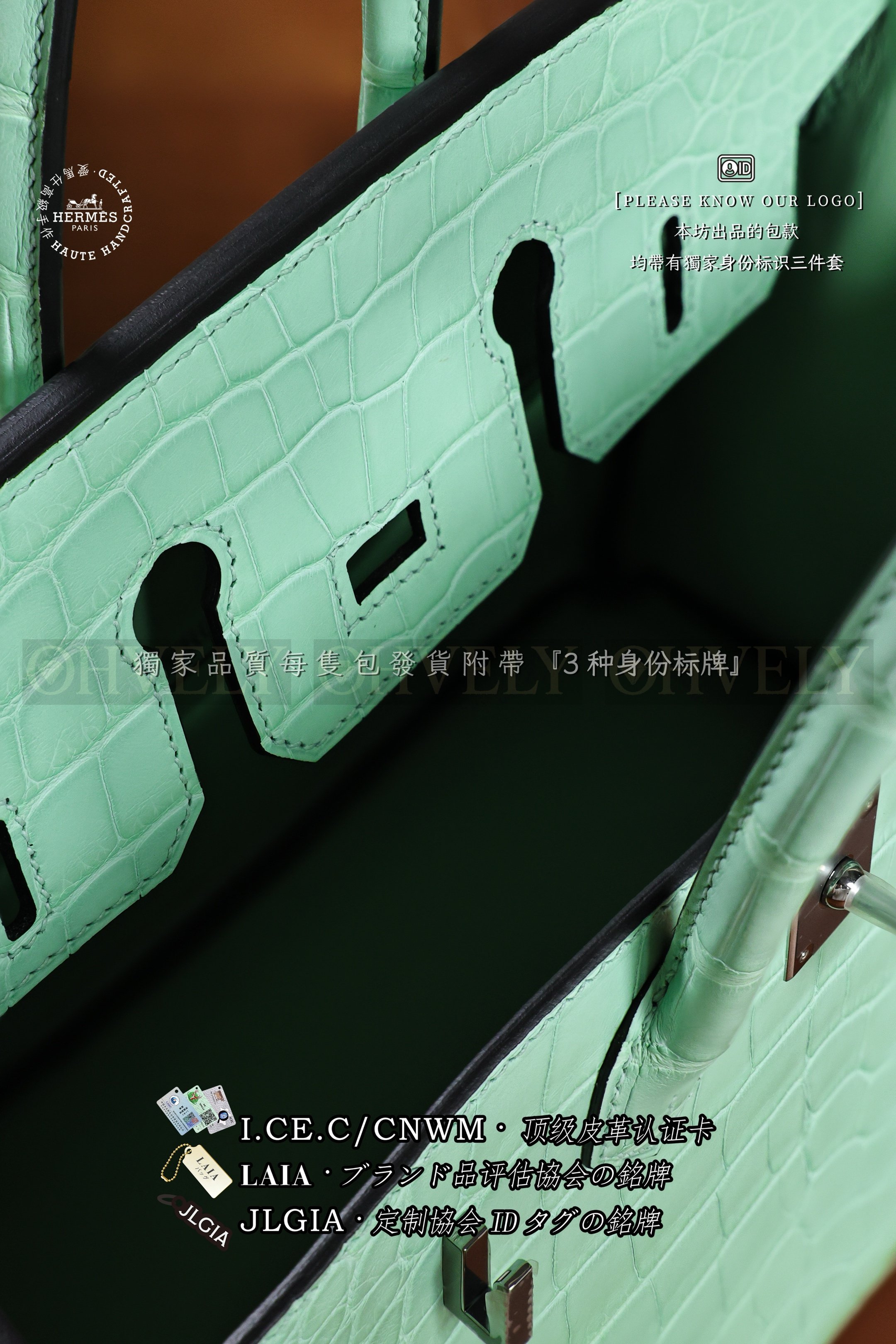 Hermès BIRKIN 𝟸𝟻 𝚅𝚎𝚛𝚝 𝚍'𝙴𝚊𝚞 은장 상품 썸네일
