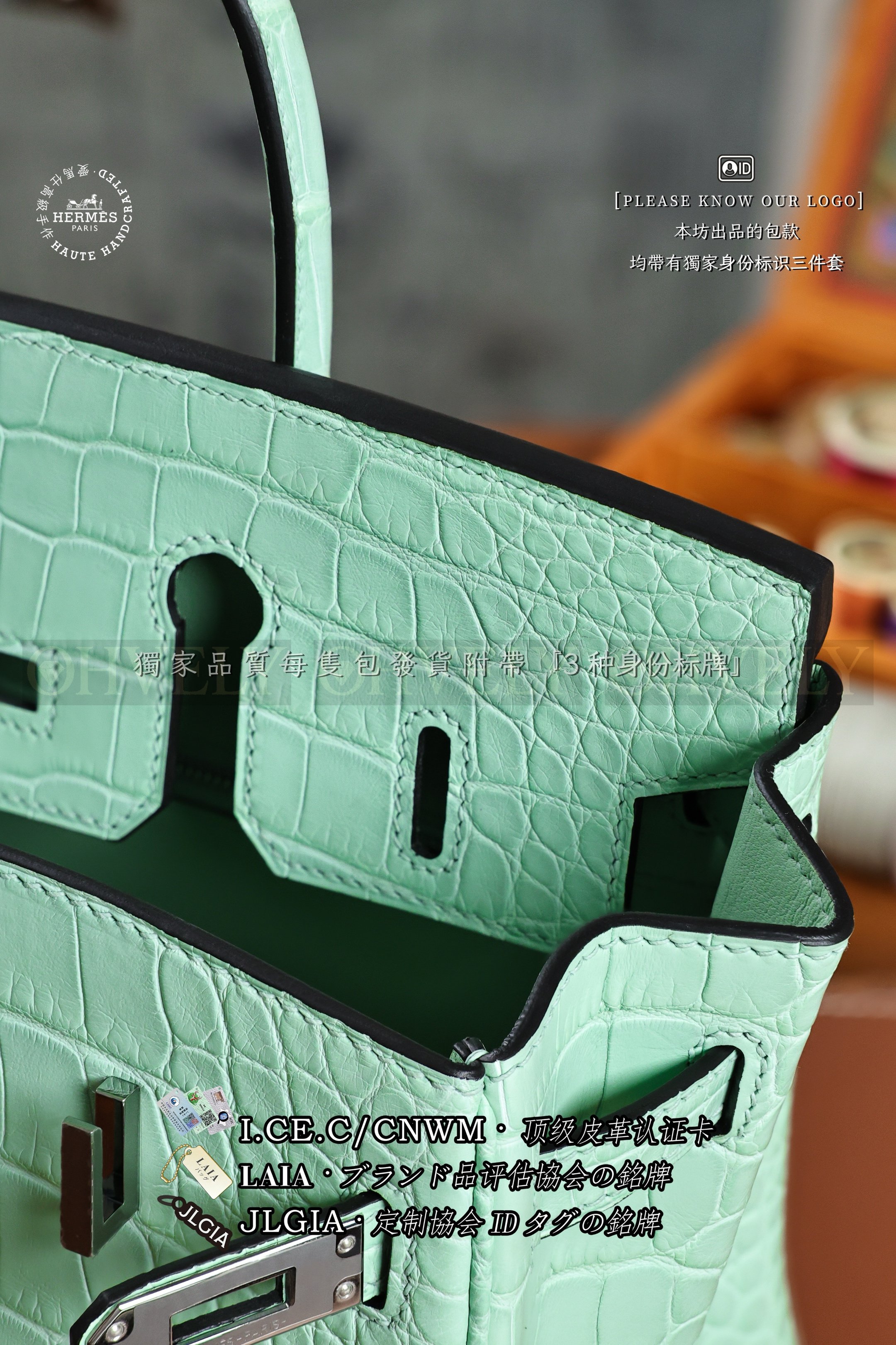 Hermès BIRKIN 𝟸𝟻 𝚅𝚎𝚛𝚝 𝚍'𝙴𝚊𝚞 은장 상품 썸네일