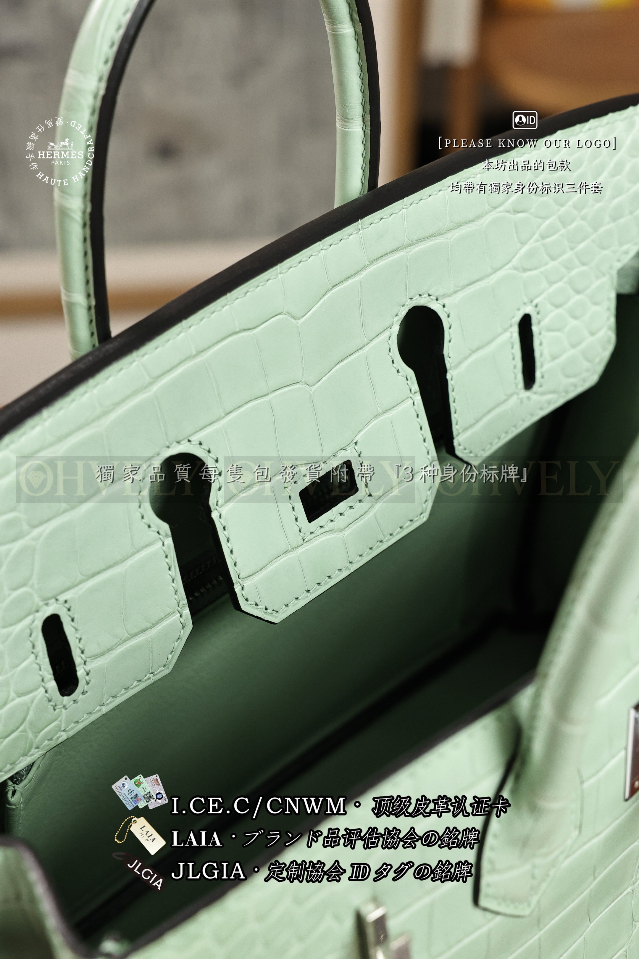 Hermès BIRKIN 𝟸𝟻 𝚅𝚎𝚛𝚝 𝚍'𝙴𝚊𝚞 은장 상품 썸네일