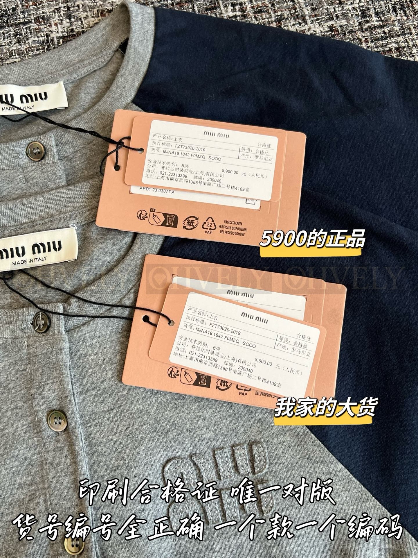 ZP버전 】 MIUMIU 미우미우 콘트라스트 라글란 쇼트 슬리브 티셔츠 상품 썸네일
