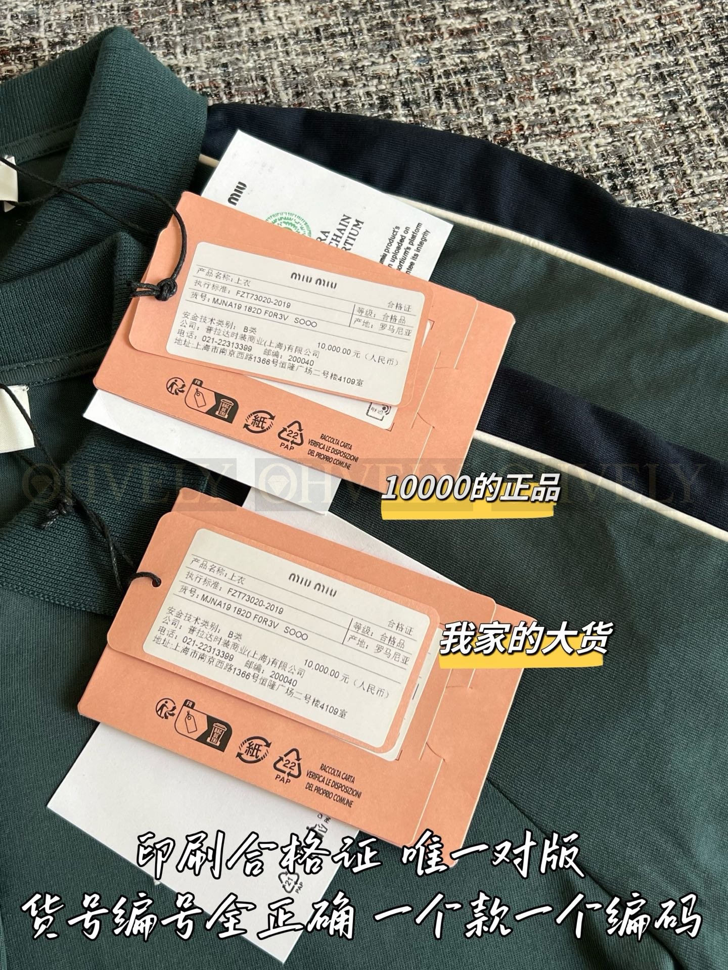 【 ZP버전 】 MIUMIU 미우미우 로고 자수 코튼 저지 폴로 셔츠 상품 썸네일
