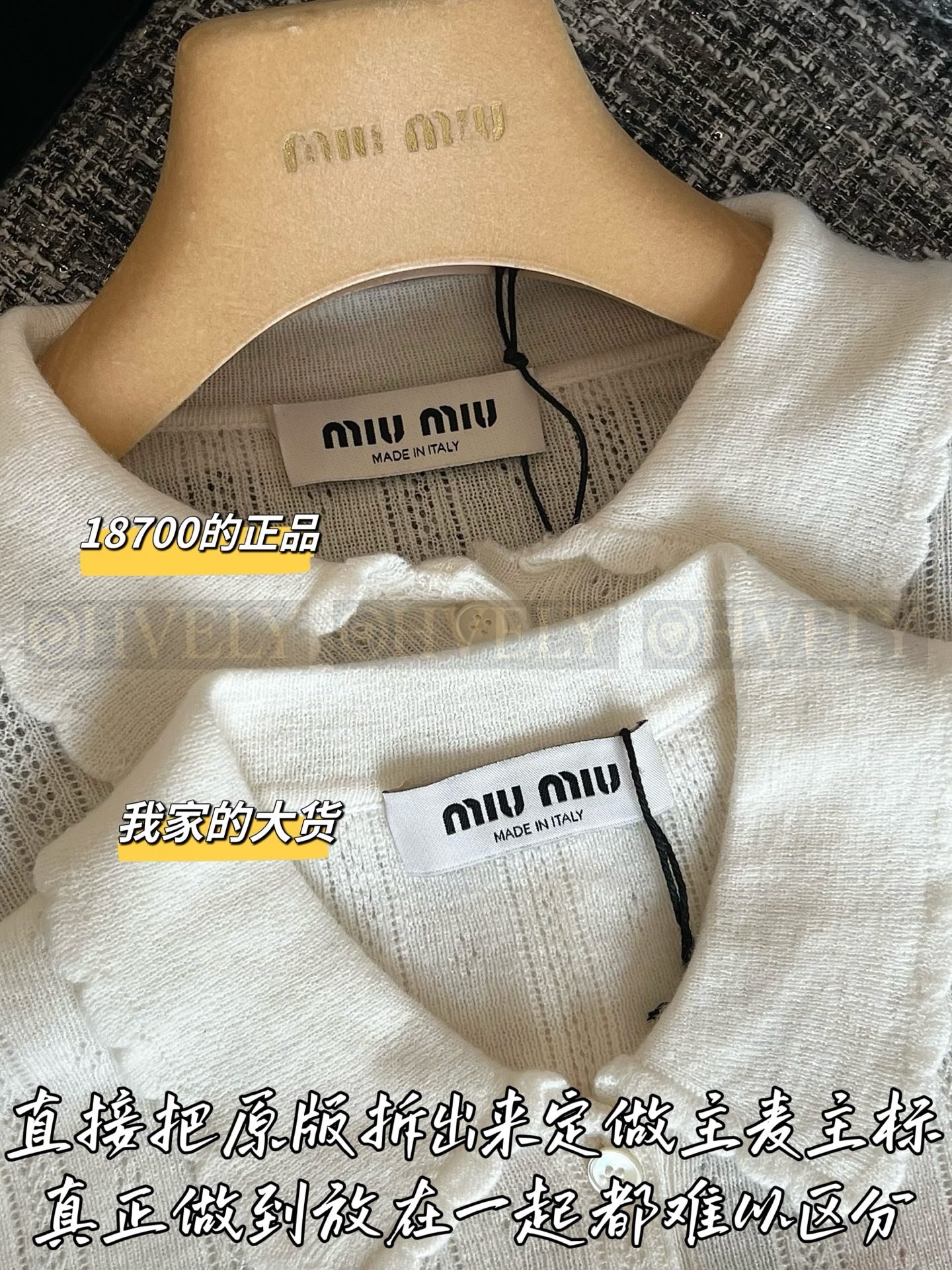 ZP버전 】 MIUMIU 미우미우 26SS 레이스 칼라 로고 니트 폴로 셔츠 상품 썸네일