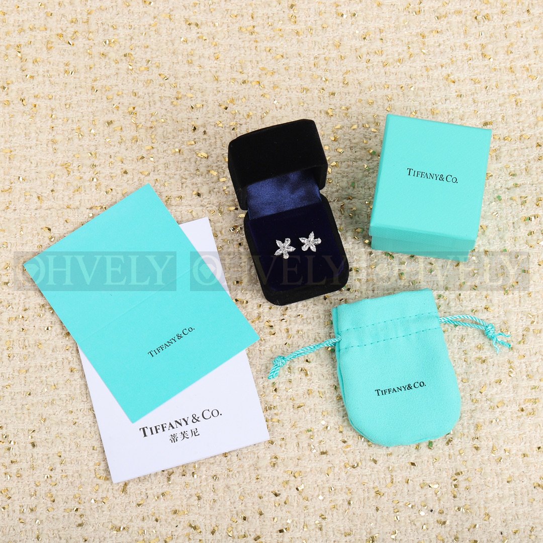 티파니앤코 Tiffany & Co. 빅토리아(Victoria) 클래식 이어링 상품 썸네일